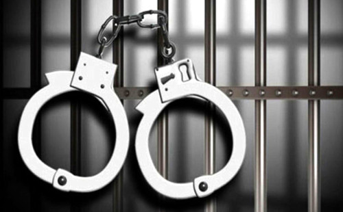 সনদ বাণিজ্যে কারিগরি শিক্ষা বোর্ডের চেয়ারম্যানের স্ত্রী গ্রেপ্তার