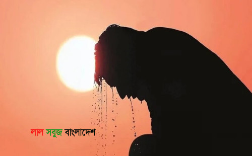 হিট স্ট্রোকে আরও ৭ জনের মৃত্যু