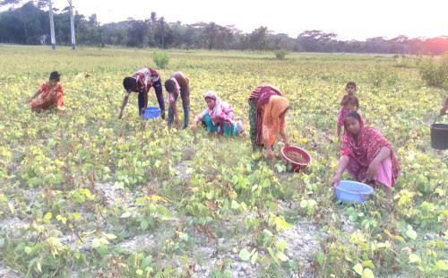 ফল-ফসলের উৎপাদন ব্যাহত হওয়ার শঙ্কা