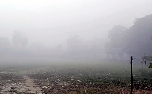 সিলেট জুড়ে ঘন কুয়াশায় আকাশ আচ্ছন্ন, বাড়ছে শীতের তীব্রতা