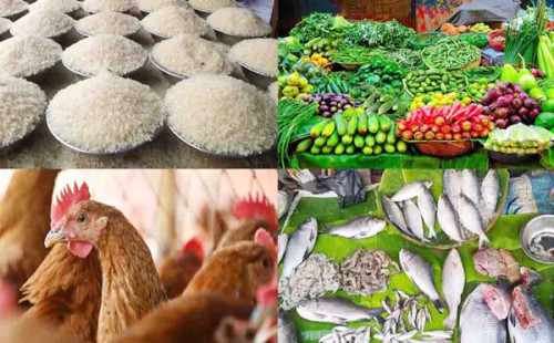 পকেট হার মানছে জীবনযুদ্ধে