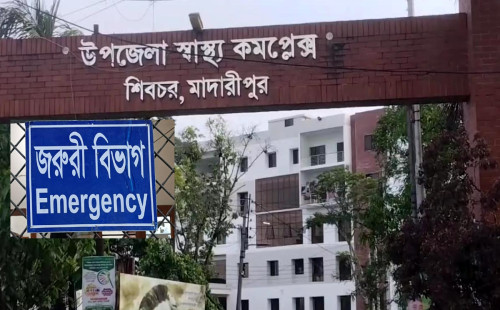 বিদ্যুৎস্পৃষ্ট হয়ে গাছ থেকে পড়ে ভ্যানচালকের মৃত্যু