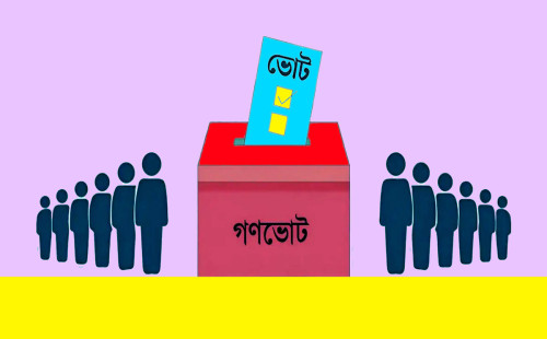 গণভোটের ব্যালট হবে রঙিন, উপদেষ্টা পরিষদে অধ্যাদেশ অনুমোদন