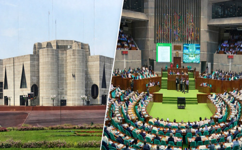 সংসদের বিশেষ কমিটিতে অন্তর্বর্তী সরকারের জারি করা ১৩৩ অধ্যাদেশ