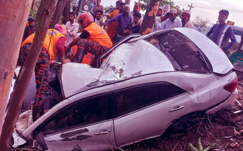 গাছের সঙ্গে প্রাইভেটকারের ধাক্কা, চালক নিহত