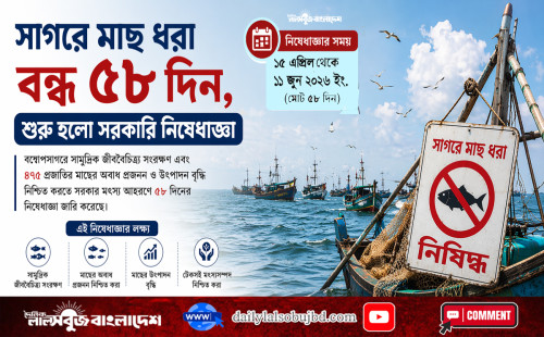 সাগরে মাছ ধরা বন্ধ ৫৮ দিন, শুরু হলো সরকারি নিষেধাজ্ঞা